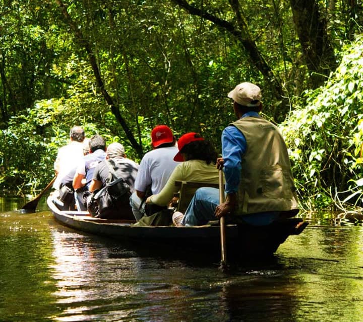 Puerto Maldonado, Amazon rainforest