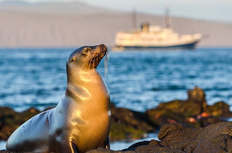 Galapagos Family Cruise Experience