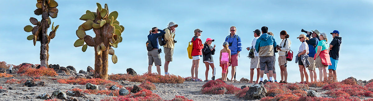 Guided Walks & Hikes on Family Cruises
