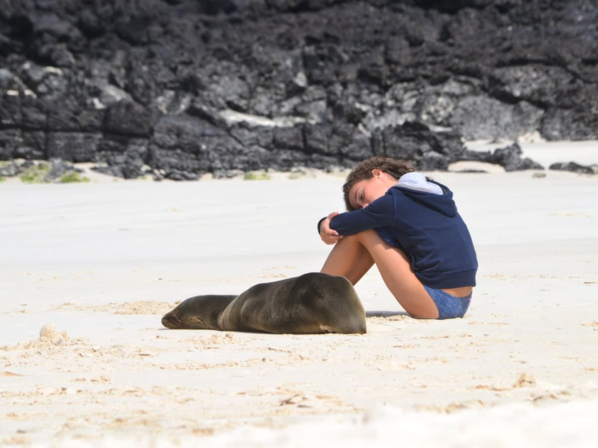 Sea Lion and Child on a Galapagos Beach
