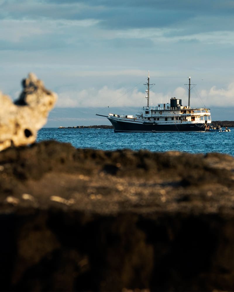 Galapagos hidden gems only available to small ship cruises