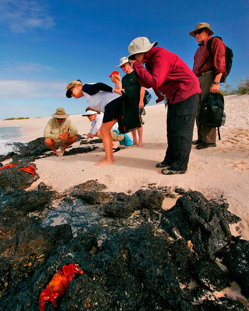 Exploring Galapagos on a luxury cruise