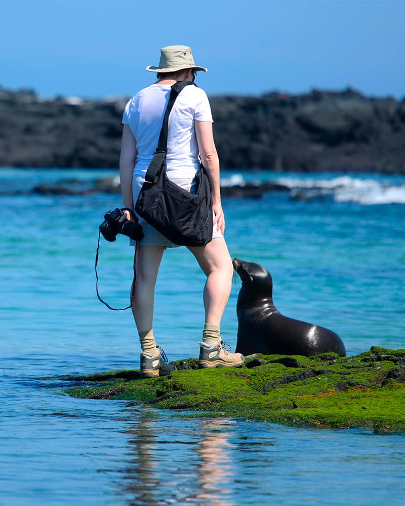 Close wildlife encounters in Galapagos